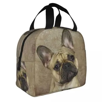 Френски булдог термоизолированная чанта за обяд и за жени и деца, за многократна употреба обяд-бокс за домашни кучета, за училище, офис, чанти за пикник, чанти за хранене