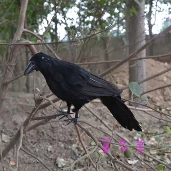 голяма 30 см черна врана с пера, модел птици ръчно изработени, гарван от полиетилен и пера, играчка за декорация на дома, подарък за Коледа w3920